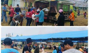 Image_2025_11_13_15_23_28